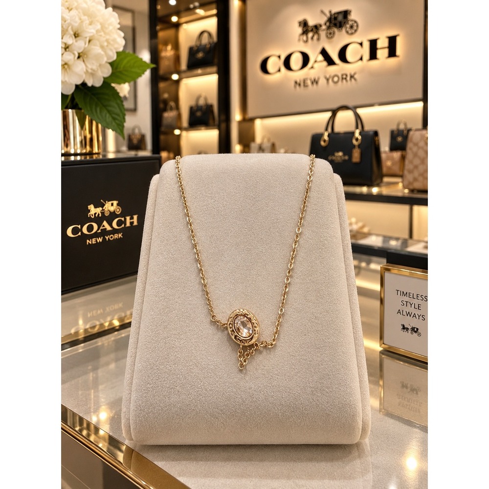 #19 Coach necklace with crystal stone nwt